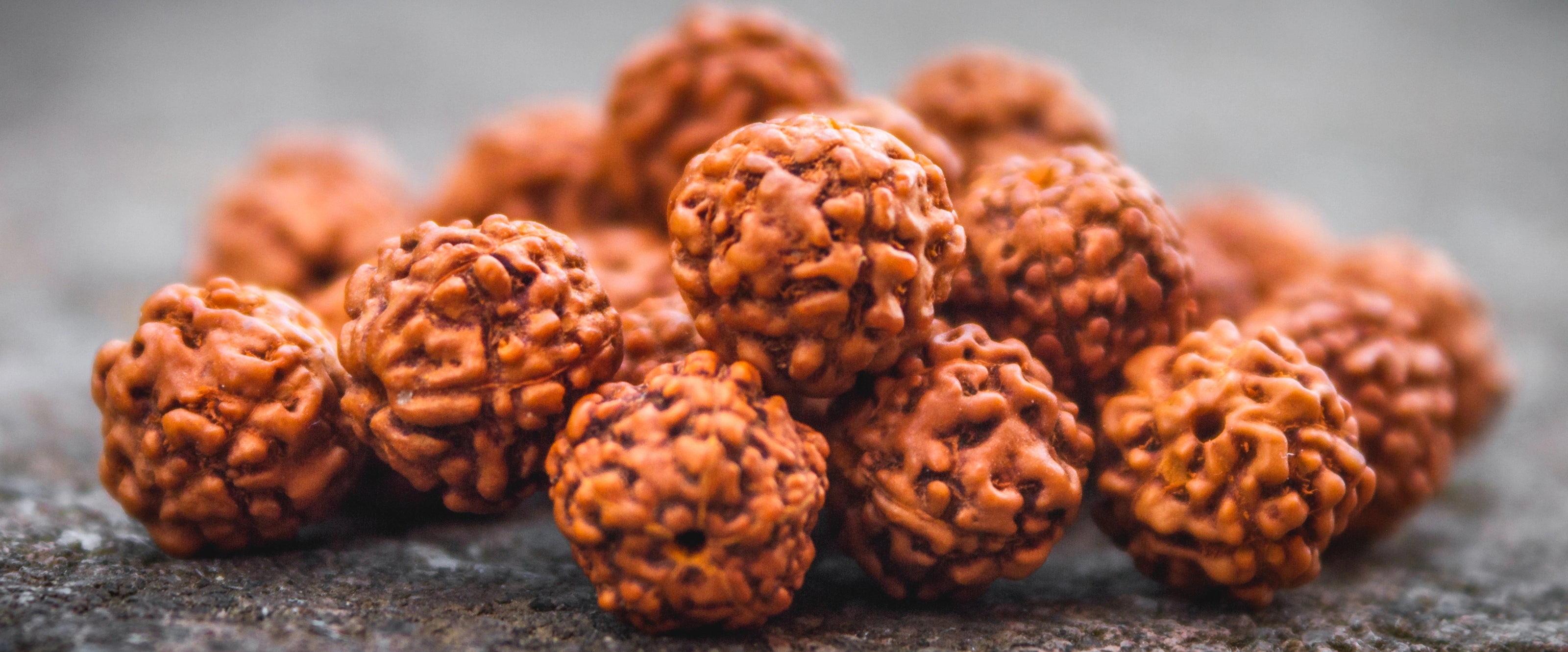 RUDRAKSHA