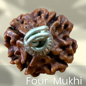 Four Mukhi