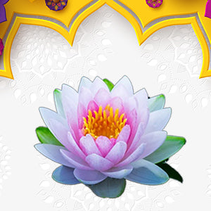 Lotus Flowers