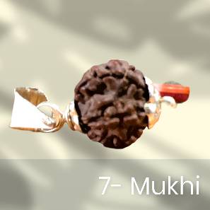 Seven Mukhi