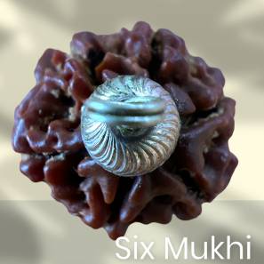 Six Mukhi