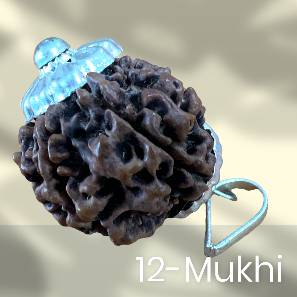 12 Mukhi