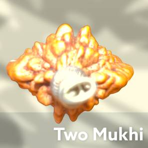 Two Mukhi